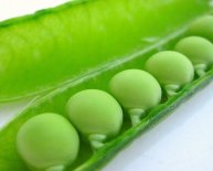 BBQ Salad and Side recipes